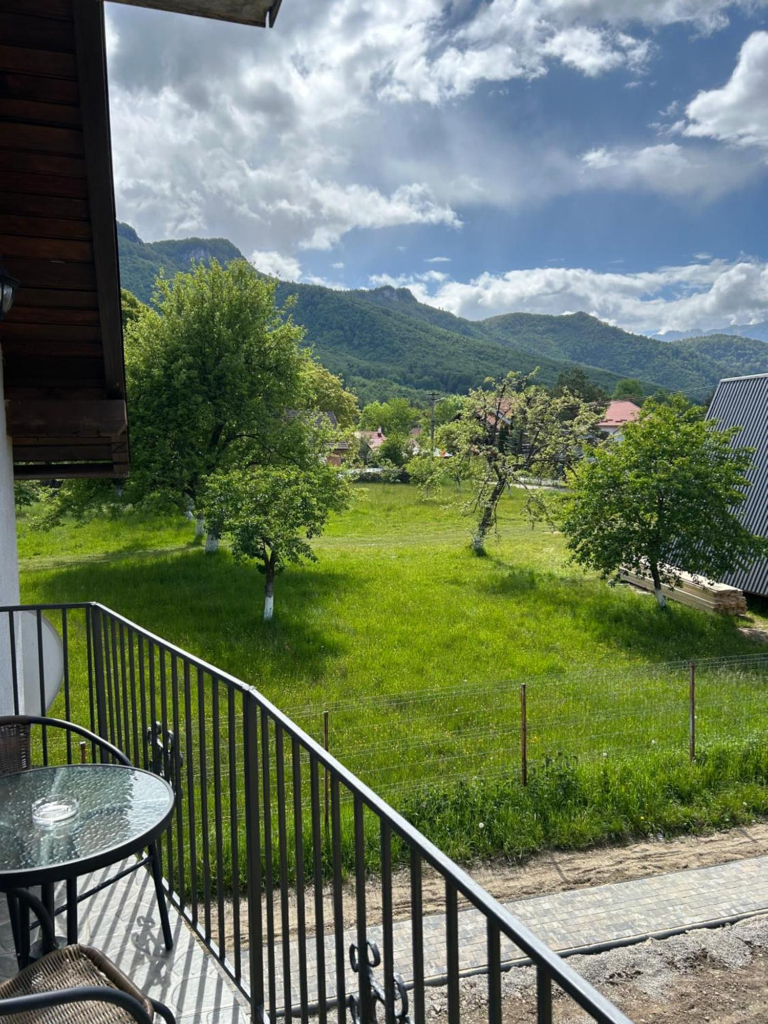 Villa Casa Luca Ama Bran à Bran  Extérieur photo