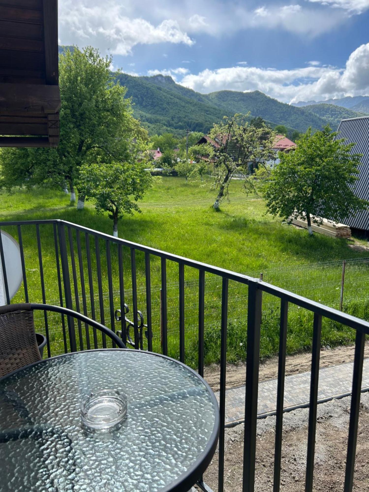 Villa Casa Luca Ama Bran à Bran  Extérieur photo